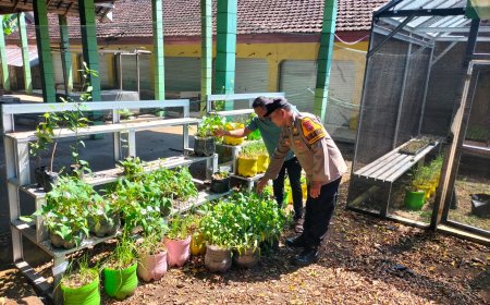 Bhabinkamtibmas Widodaren Monitoring Pekarangan Sayuran Warga, Perkuat Ketahanan Pangan di Ngawi