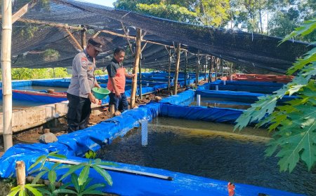 Bhabinkamtibmas Geneng Monitoring Budidaya Lele Warga, Perkuat Ketahanan Pangan di Ngawi