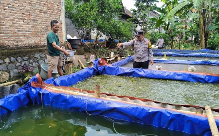 Bhabinkamtibmas Sine Monitoring Budidaya Lele Warga, Perkuat Ketahanan Pangan di Ngawi